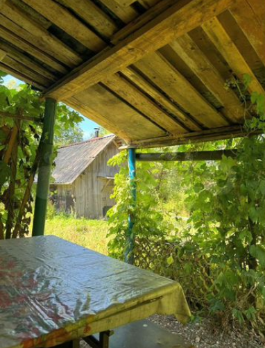 снимок экрана (3583)