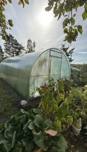 снимок экрана (3671)