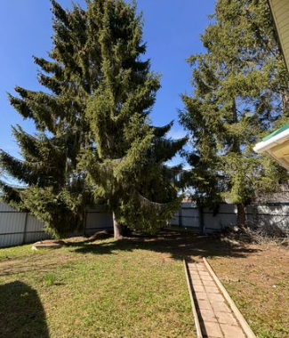 снимок экрана (3950)