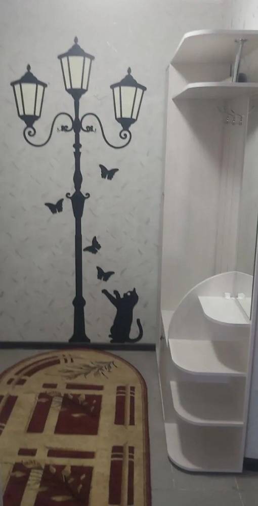 photo_2026-02-25_14-24-12