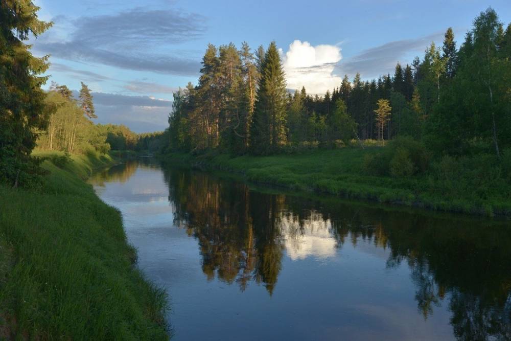 осуга